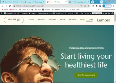 Example website