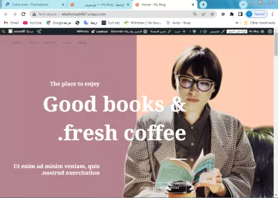 Example website