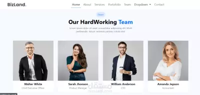تصميم متجاوب لصفحة هبوط لشركة استضافة مواقع انترنت - Bizland