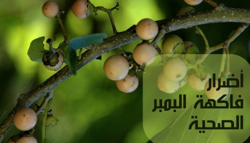 مقال عن أضرار فاكهة البمبر الصحية