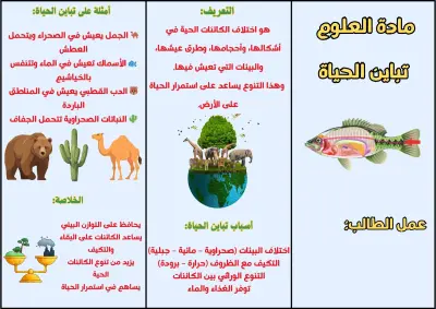 تصميم مطويات تعليمية وإبداعية تناسب جميع المراحل الدراسية (الابتدائية – المتوسطة – الثانوية) بأسلوب جذاب
