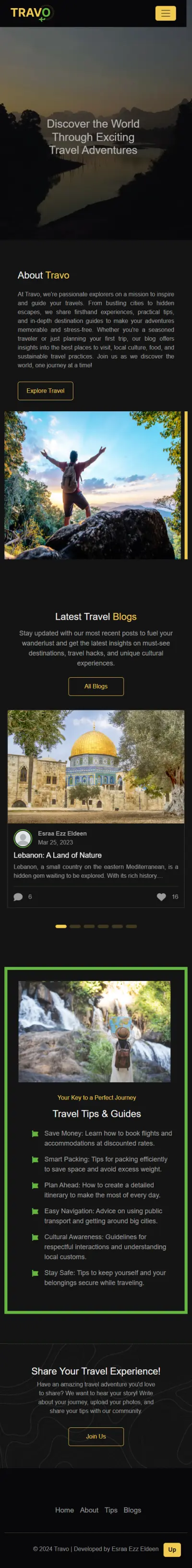 مصمم ومطور مواقع