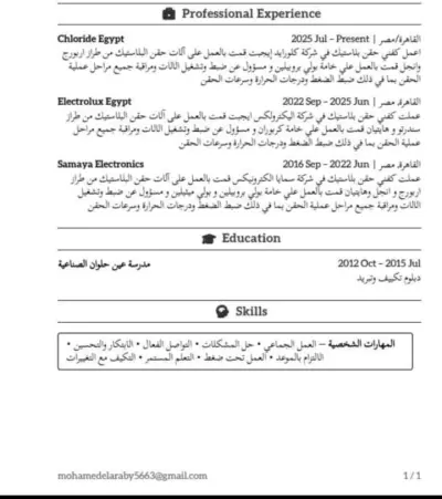 سيرة ذاتية احترافية