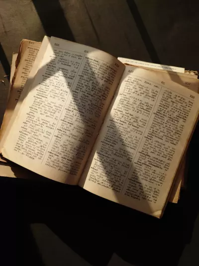 الترجمه و كتابه المحتوى و المقالات و تصميم الفيديوهات و المونتاج