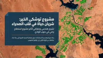 دراسة وتحليل مشروع شرق العوينات الزراعي - عرض تقديمي استراتيجي