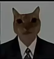ممنتج شبه محترفة