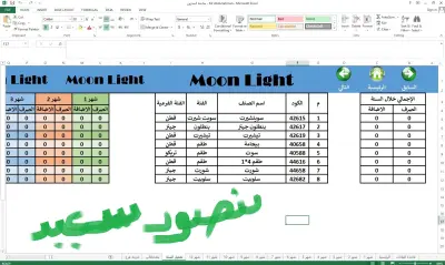 تصميم برنامج على الأكسل لمخزون السنة وربطه بالمبيعات والجرد لشركة صغيره
