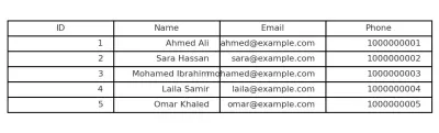 إدخال وتنظيم بيانات العملاء في ملف Excel