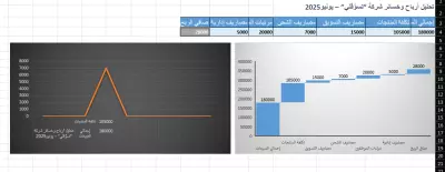 تحليل مبيعات وارباح وخسائر متجر إلكتروني باستخدام Excel – تقرير شهري احترافي