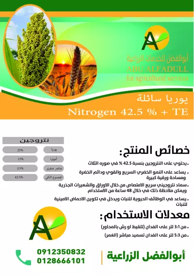 تصميم منتج