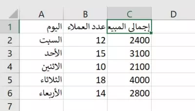 عينة تقرير Excel