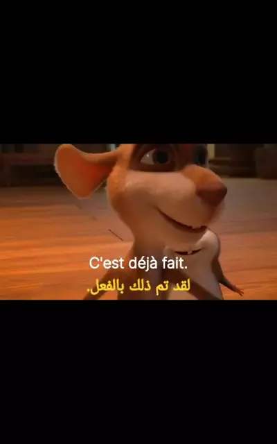 مترجمة لغة انجليزية وفرنسية