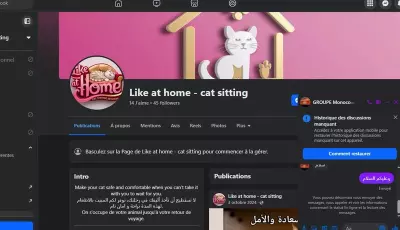 تسيير الصفحات على السوسيال ميديا