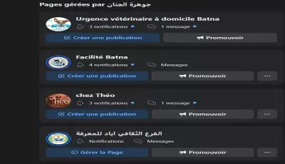 تسيير الصفحات على السوسيال ميديا