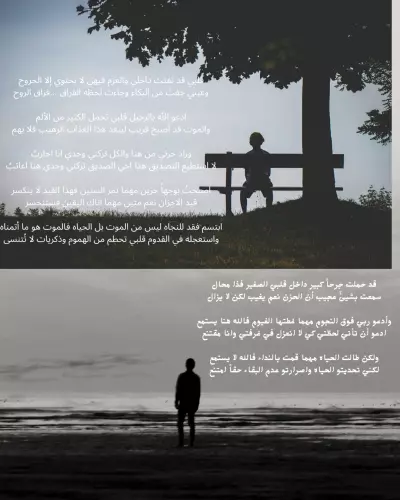 1. "أبيات شعرية مبتكرة تعبّر عن مشاعرك"   2. "شعر إبداعي يلامس القلوب"   3. "قصائد رومانسية وتحفيزية حسب طلبك"   4. "شعر مميز يروي قصتك"   5. "تأليف الشعر بأسلوب فني جذاب"