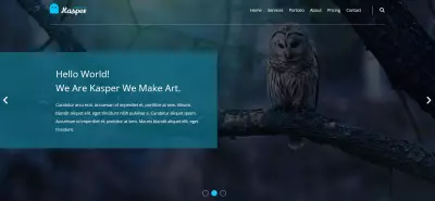 landing page صفحة هبوط