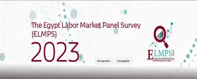 تحليل سوق العمل المصرى - إستقصاء 2023