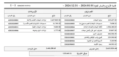 الميزانية العمومية 2024