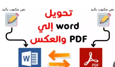 إدخال وتنسيق البيانات بدقة عالية في ملفات Excel أو Word حسب الطلب