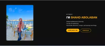 portofolio شخصي