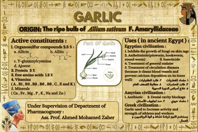 انفوجرافيك تعليمي