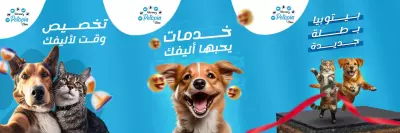 حملة تسويقيه