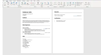 professional cv and resume
