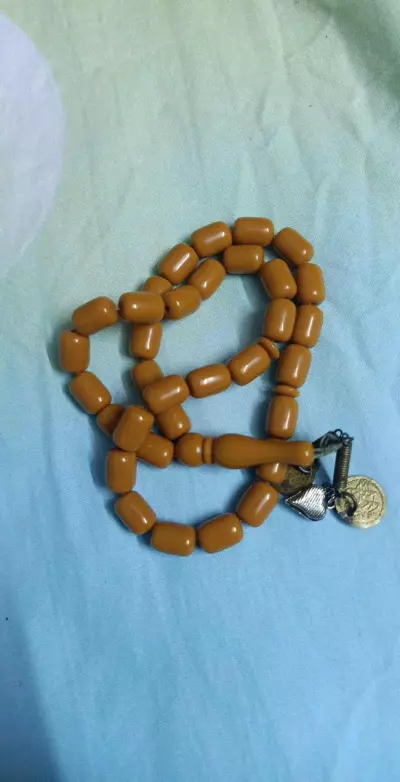 بورسعيد حى الشرق