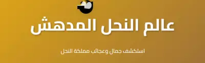 عالم النحل المدهش