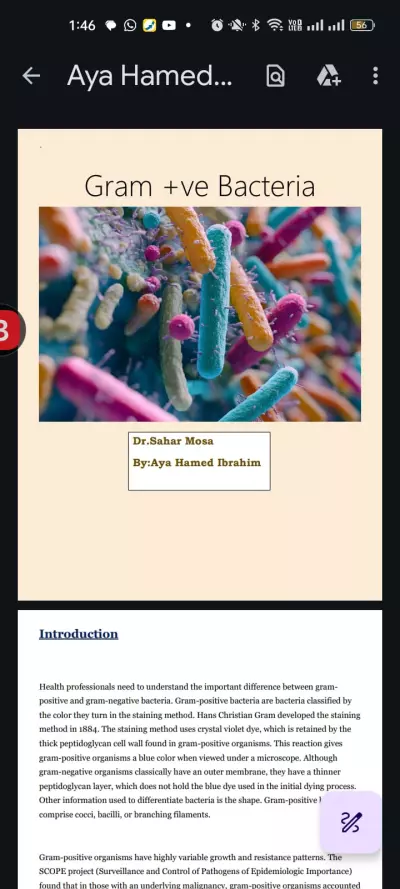 مصممة عروض تقديمية