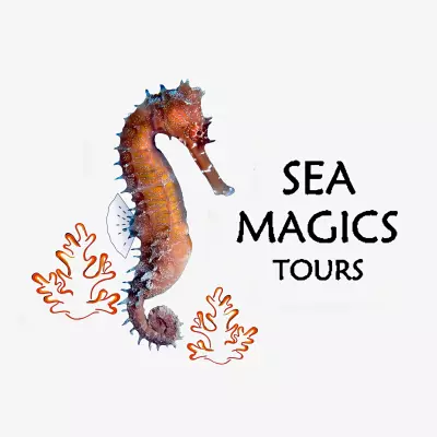 Seamagics Website