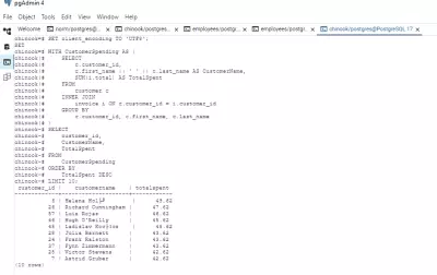 Chinook SQL Analysis (Advanced SQL Task)