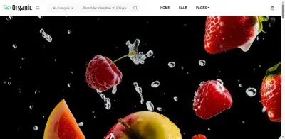 E-commerce website