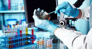 التدريس وتلخيص محاضرات