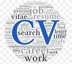 عمل cv احترافي يتوافق مع نظام ال ATS العالمي