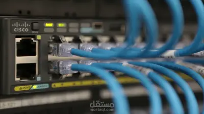 محاكاة شبكات مع إعداد VLANs وTrunking باحترافية