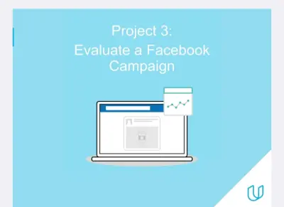 Evaluate a Facebook campaign
