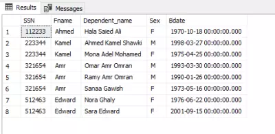 قاعدة بيانات الشركة–الموظفين (SQL Queries & Operations)