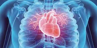 Heart Disease Prediction