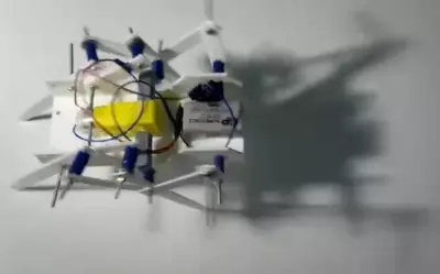 مشروع جامعي Hexapod robot