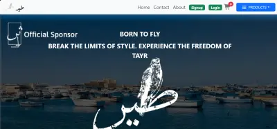 teercom store web-site