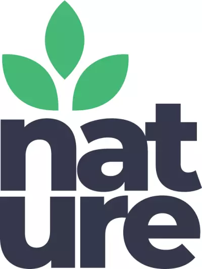 logo animation