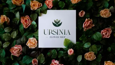 Ursinia Flower Shop - Brand identity design