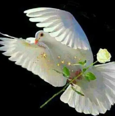 برمجة واجهات أندرويد