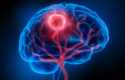 Brain Tumor Classification and Segmentation