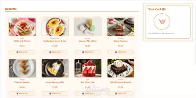 E-commerce Interface