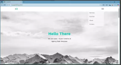 portfolio title