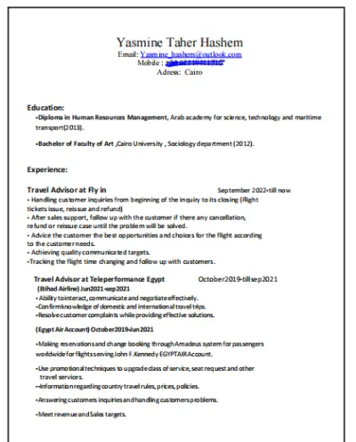 professional CV