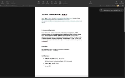 A professional  CV ATS friendly