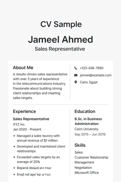 تصميم سيرة ذاتية احترافية حسب طلب العميل | CV maker